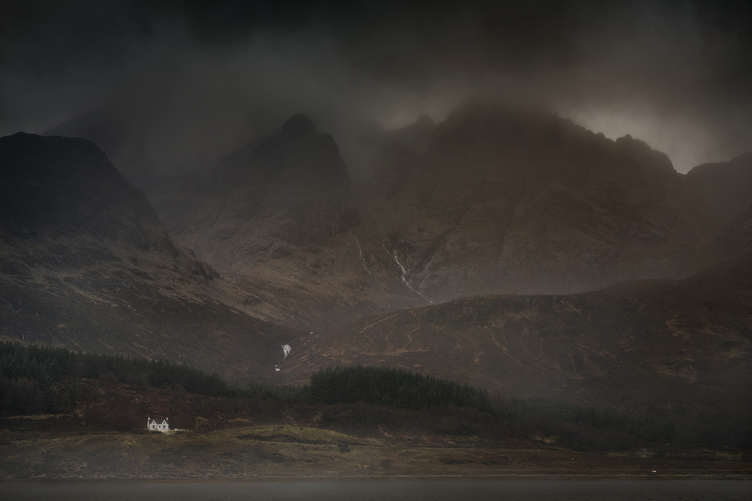 The Old Man and the Sea